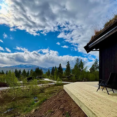 Brand New At Cross-country Skiing